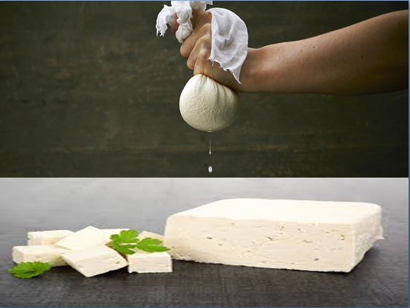 Fresh Paneer